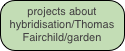 projects about hybridisation/Thomas Fairchild/garden