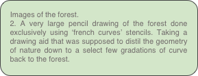 Images of the forest. 
2. A very large pencil drawing of the forest done exclusively using ‘french curves’ stencils. Taking a drawing aid that was supposed to distil the geometry of nature down to a select few gradations of curve back to the forest.



