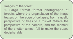 Images of the forest. 
1. Large format formal photographs of forests, where the organsiation of the image teaters on the edge of collapse, from a ucello perspective of trees to a thicket. Where the perspective of the camera, and the moment of the shutter almost fail to make the space decipherable.