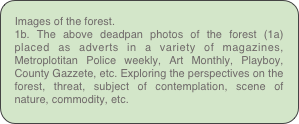 Images of the forest. 
1b. The above deadpan photos of the forest (1a) placed as adverts in a variety of magazines, Metroplotitan Police weekly, Art Monthly, Playboy, County Gazzete, etc. Exploring the perspectives on the forest, threat, subject of contemplation, scene of nature, commodity, etc.