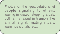 Photos of the gesticulations of people signaling to others, waving in crowd, stopping a cab, both arms raised in triumph, like animal signal, mating rituals, warnings signals, etc..