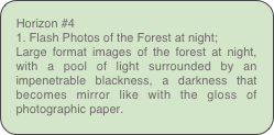 Horizon #4
1. Flash Photos of the Forest at night;
Large format images of the forest at night, with a pool of light surrounded by an impenetrable blackness, a darkness that becomes mirror like with the gloss of photographic paper.