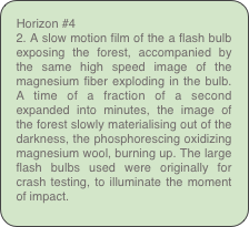 Horizon #4
2. A slow motion film of the a flash bulb exposing the forest, accompanied by the same high speed image of the magnesium fiber exploding in the bulb. A time of a fraction of a second expanded into minutes, the image of the forest slowly materialising out of the darkness, the phosphorescing oxidizing magnesium wool, burning up. The large flash bulbs used were originally for crash testing, to illuminate the moment of impact.