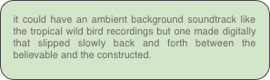 it could have an ambient background soundtrack like the tropical wild bird recordings but one made digitally that slipped slowly back and forth between the believable and the constructed.