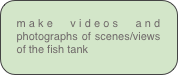make videos and photographs of scenes/views of the fish tank