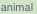 shapeimage_90_link_0