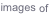 shapeimage_65_link_0