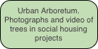 Urban Arboretum. Photographs and video of trees in social housing projects